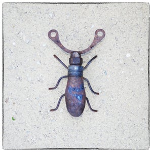 Junk Yard Beetles
