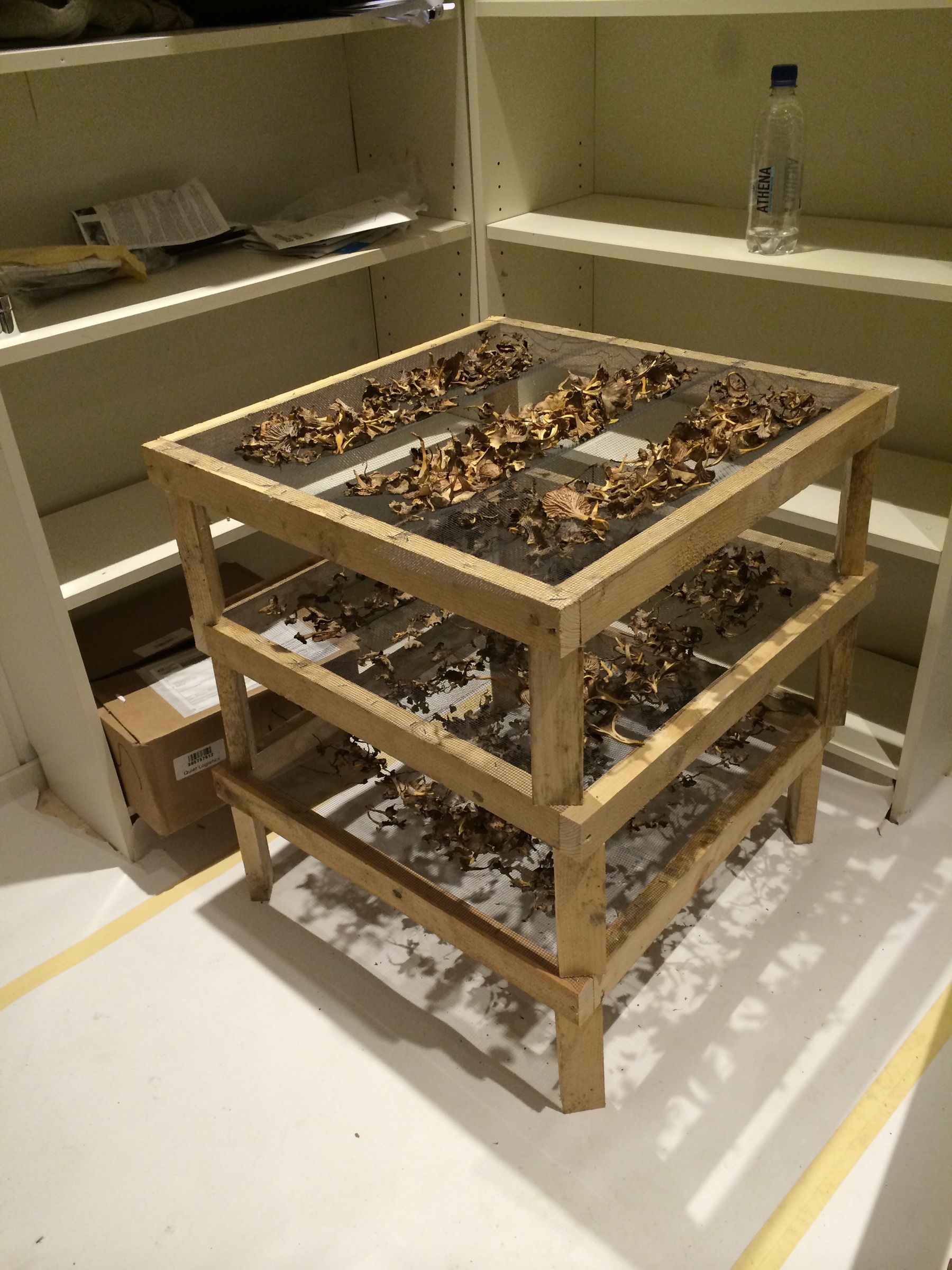 Simple Mushroom Drying Stand