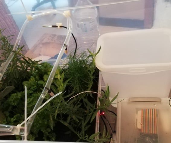Automated Herb Garden