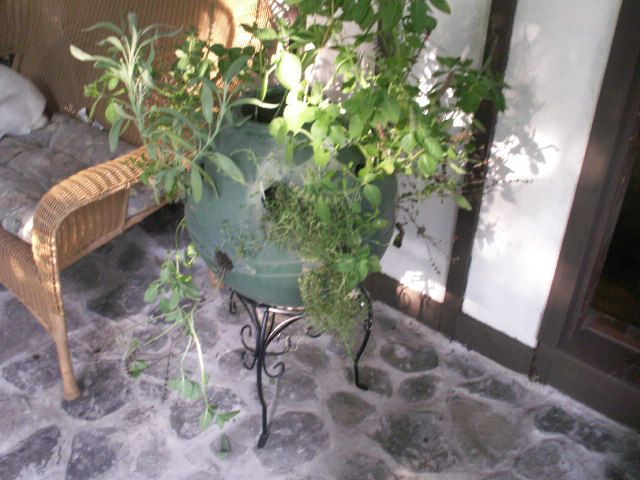 Spice Herb  Ball Planter