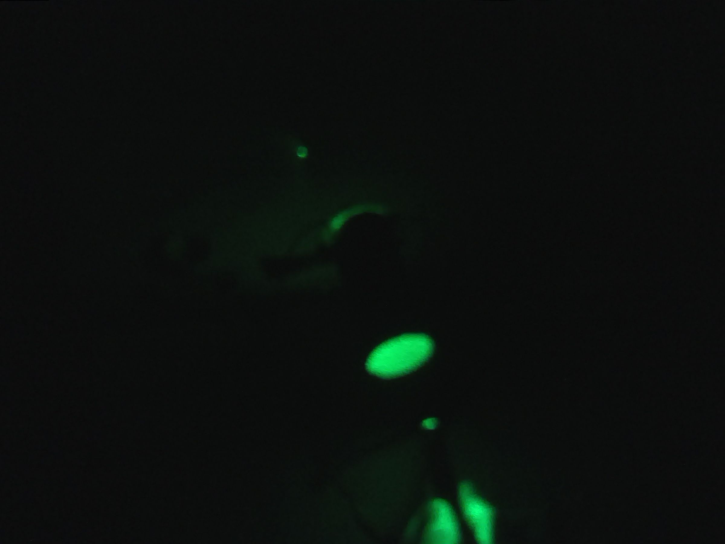 Diffraction Projector Laser Show