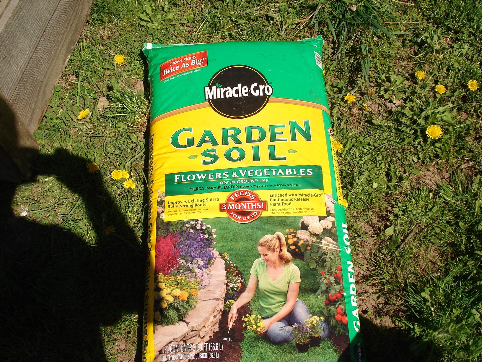 How to Grow Garlic 4 Steps (with Pictures) Instructables