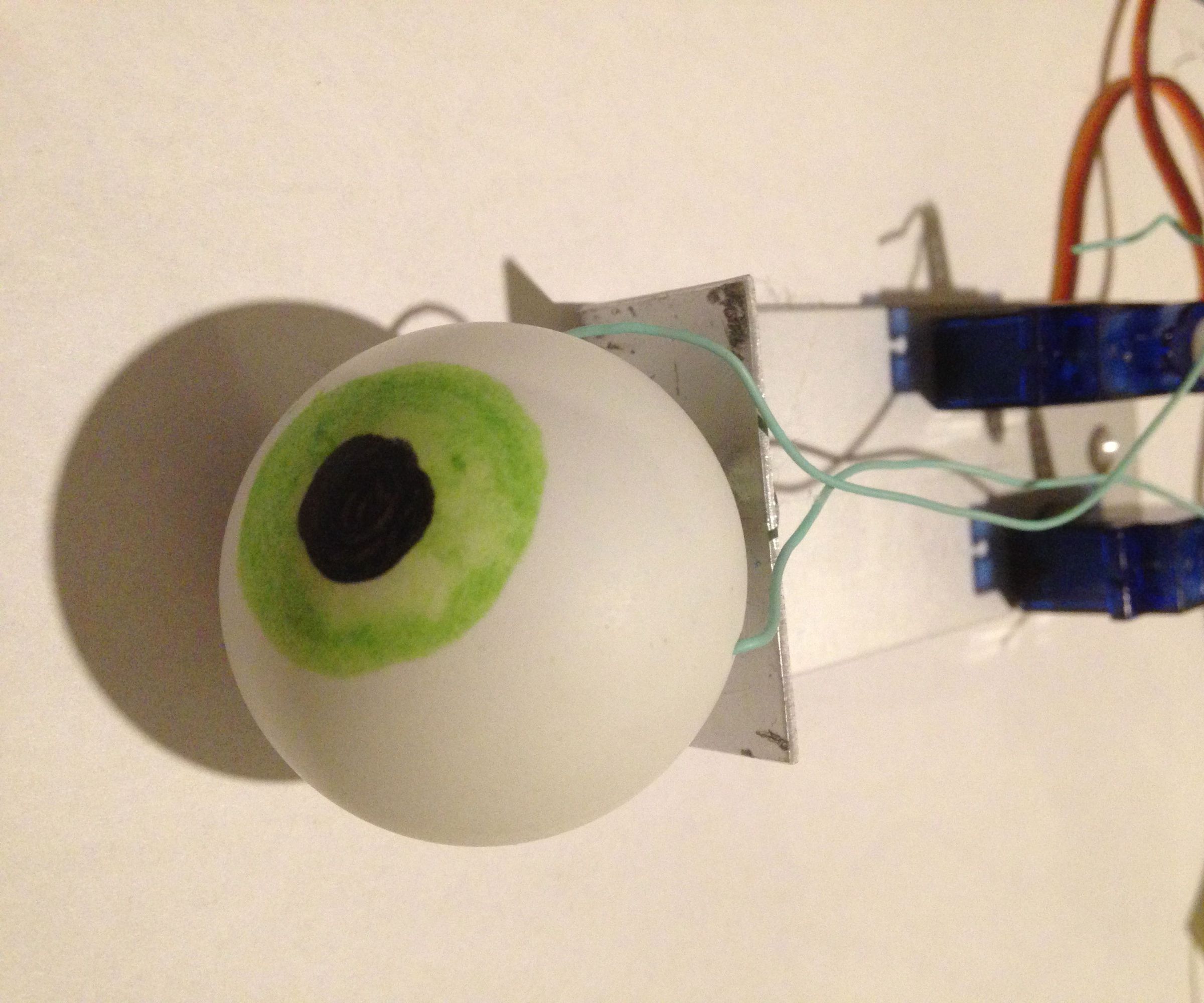 Animatronic Eye