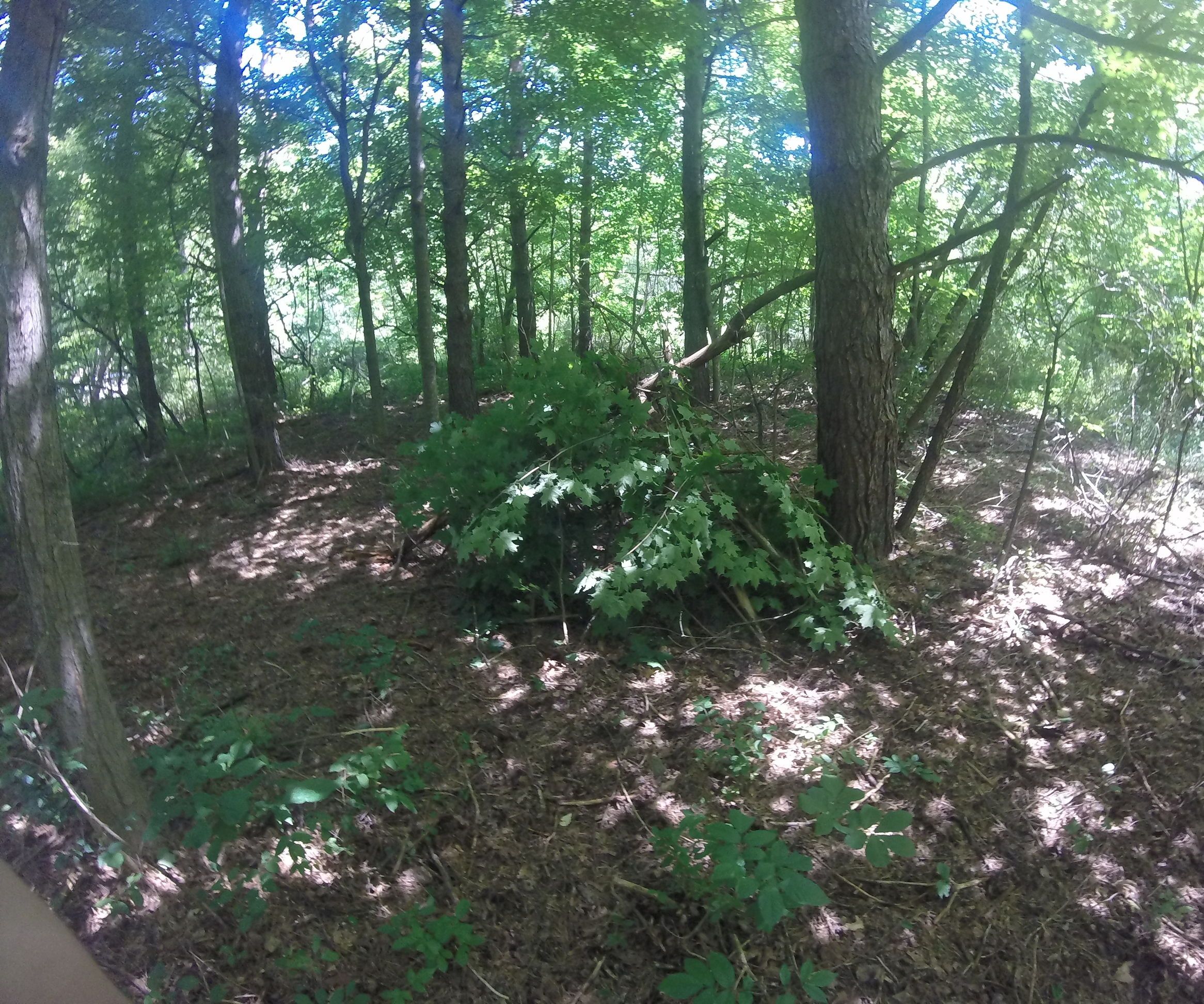 Outdoor Survival Shelter.