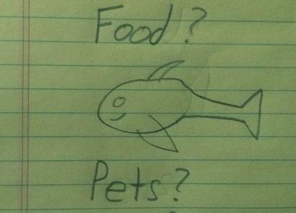 Decisions and Considerations