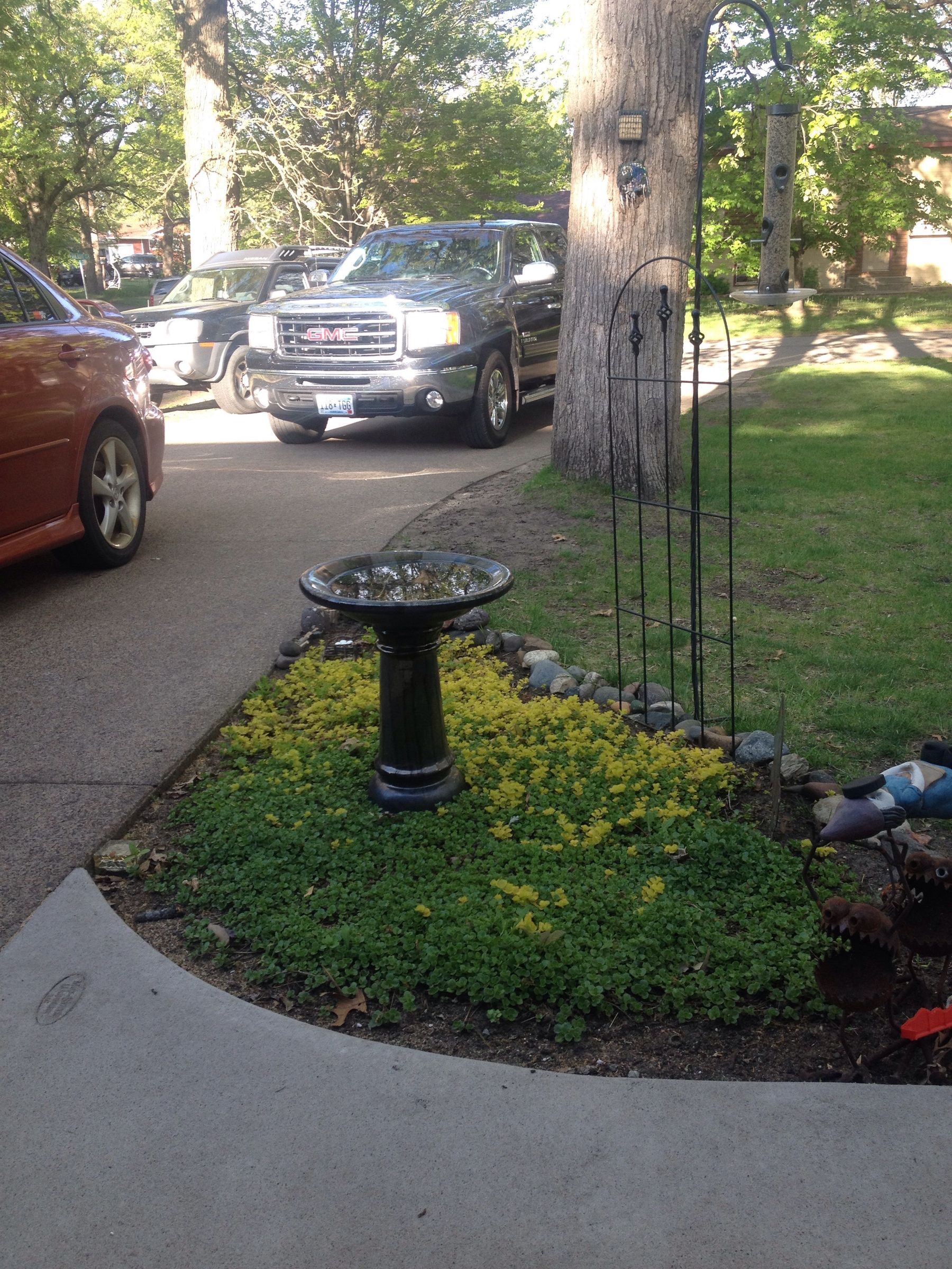 Fairy Garden