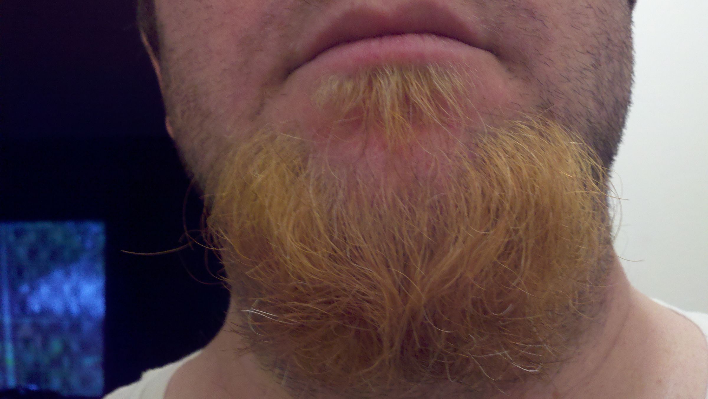 Bleaching and Dyeing Facial Hair Instructables