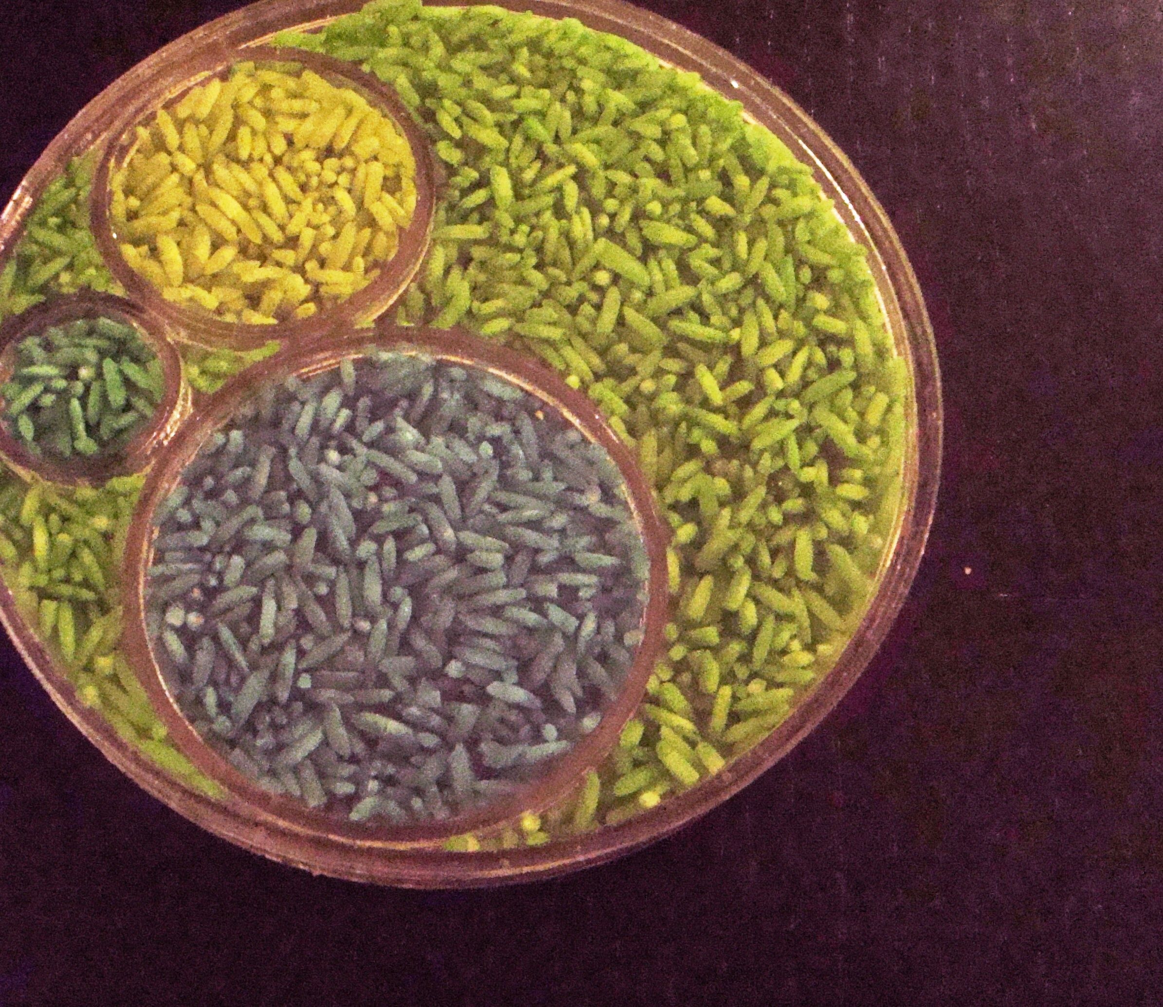 Colorful Rice Coasters