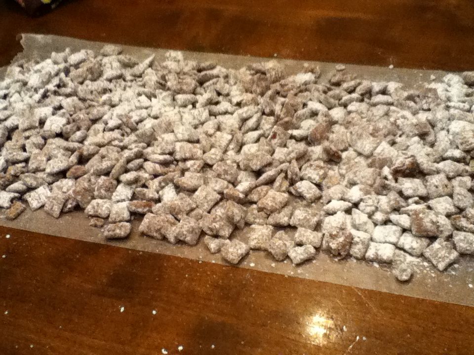 Introduction to "Puppy Chow"