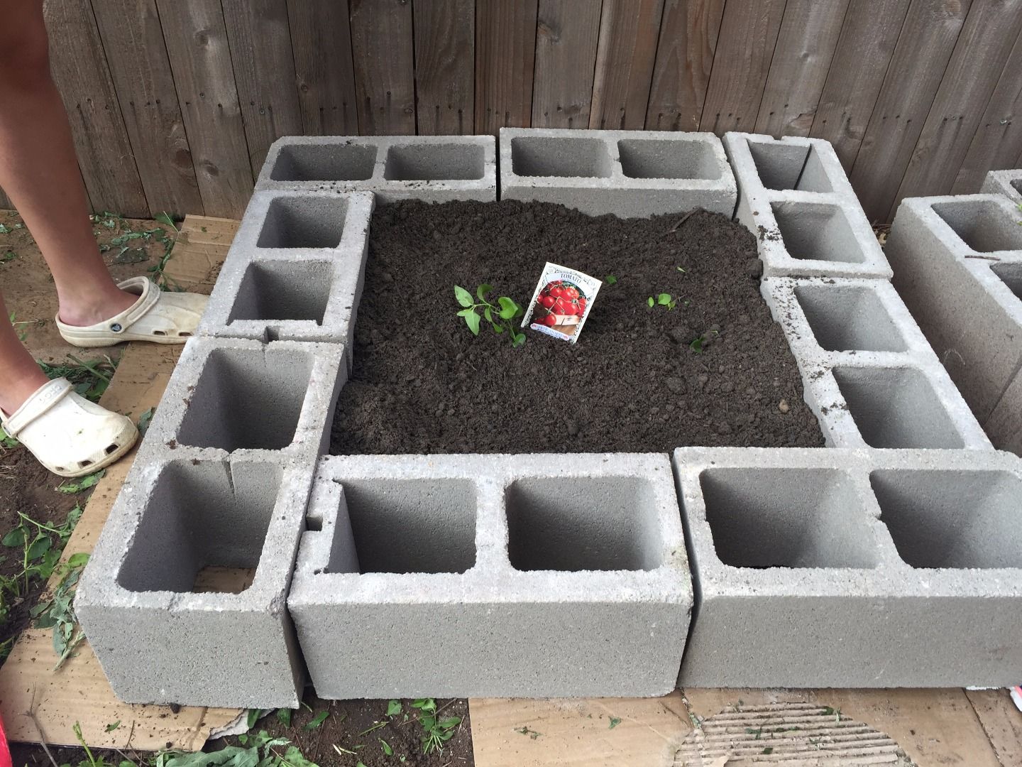 How to Make a Raised Garden Bed With Tomatoes 13 Steps Instructables