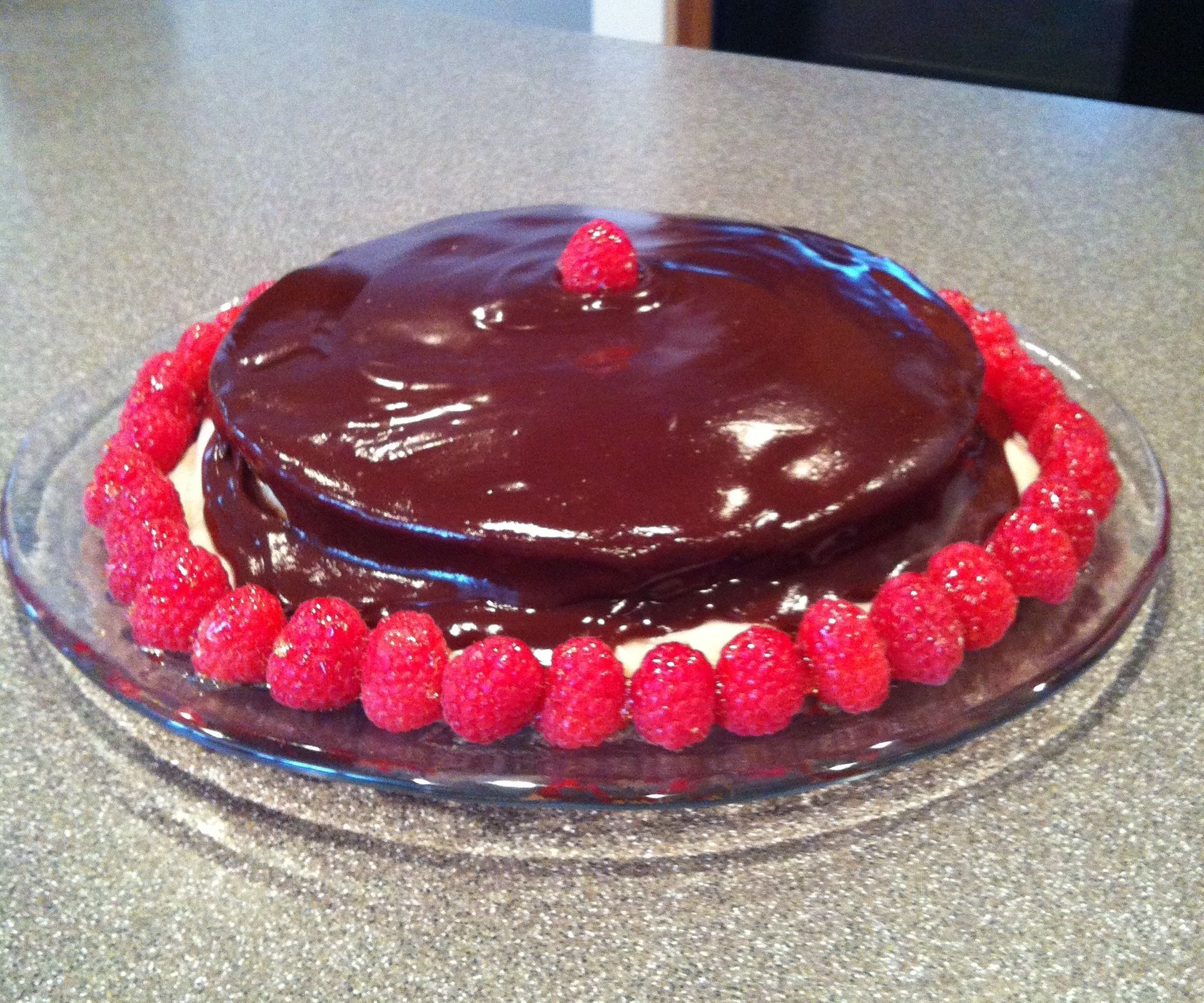 Best Vegan Boston Cream Pie