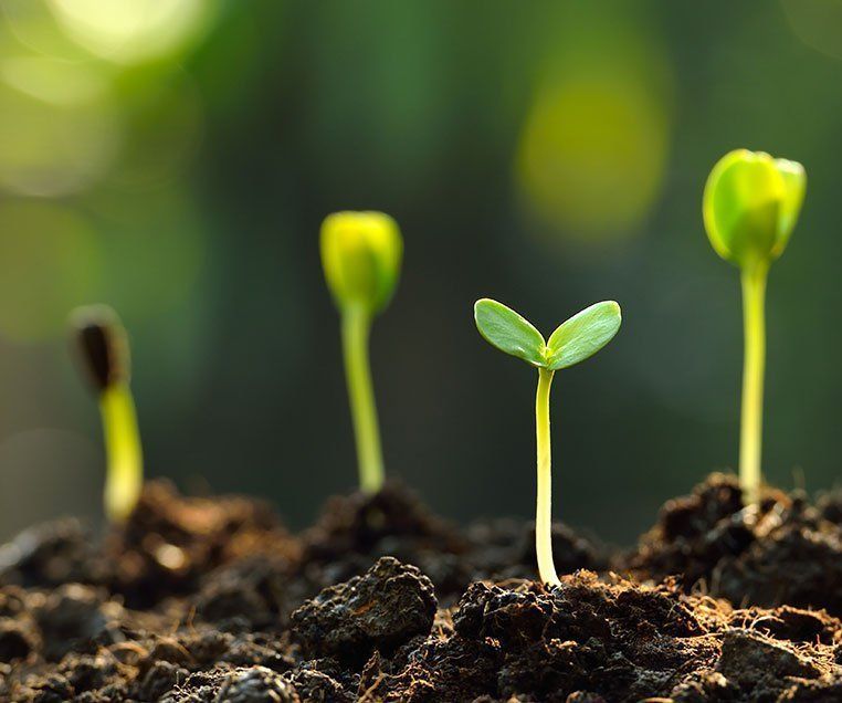 Measuring Soil Moisture With Raspberry Pi 4