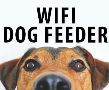 WiFi Dog Feeder Using Esp32 Cam 