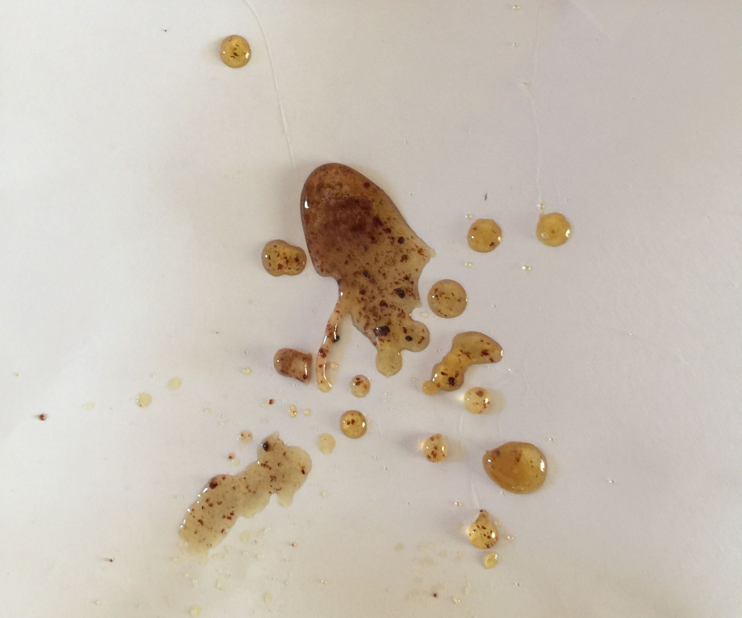 Tree Sap Glue for a Glue Gun