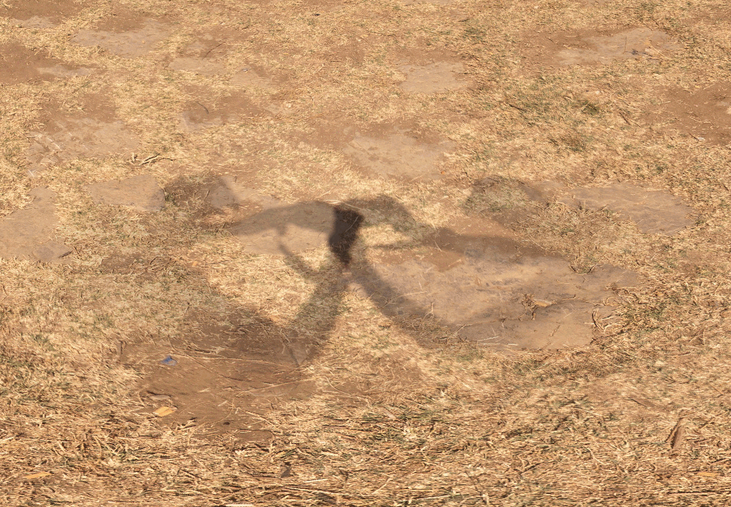 shadow