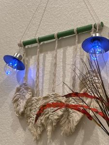 Incandescent Bulbs