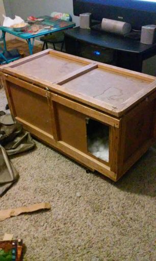 House for Stray Cats