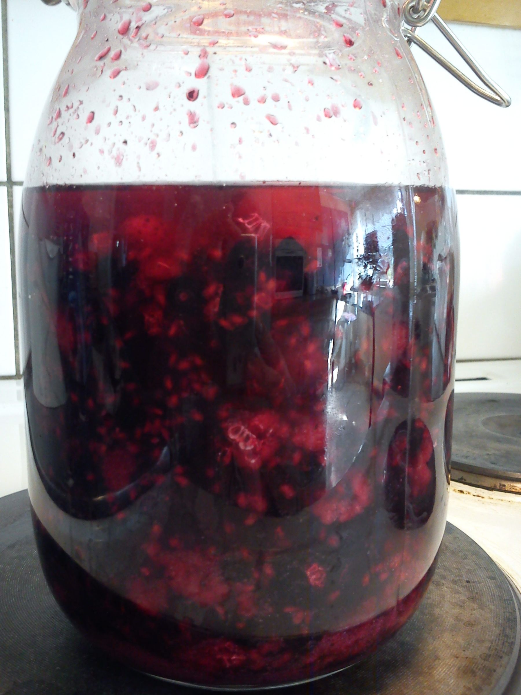 Romtopf Aka Berry Liqueur