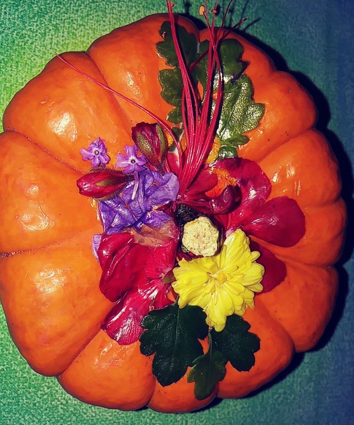 Decoupage Real Flower Pumpkin (with Pictures) Instructables