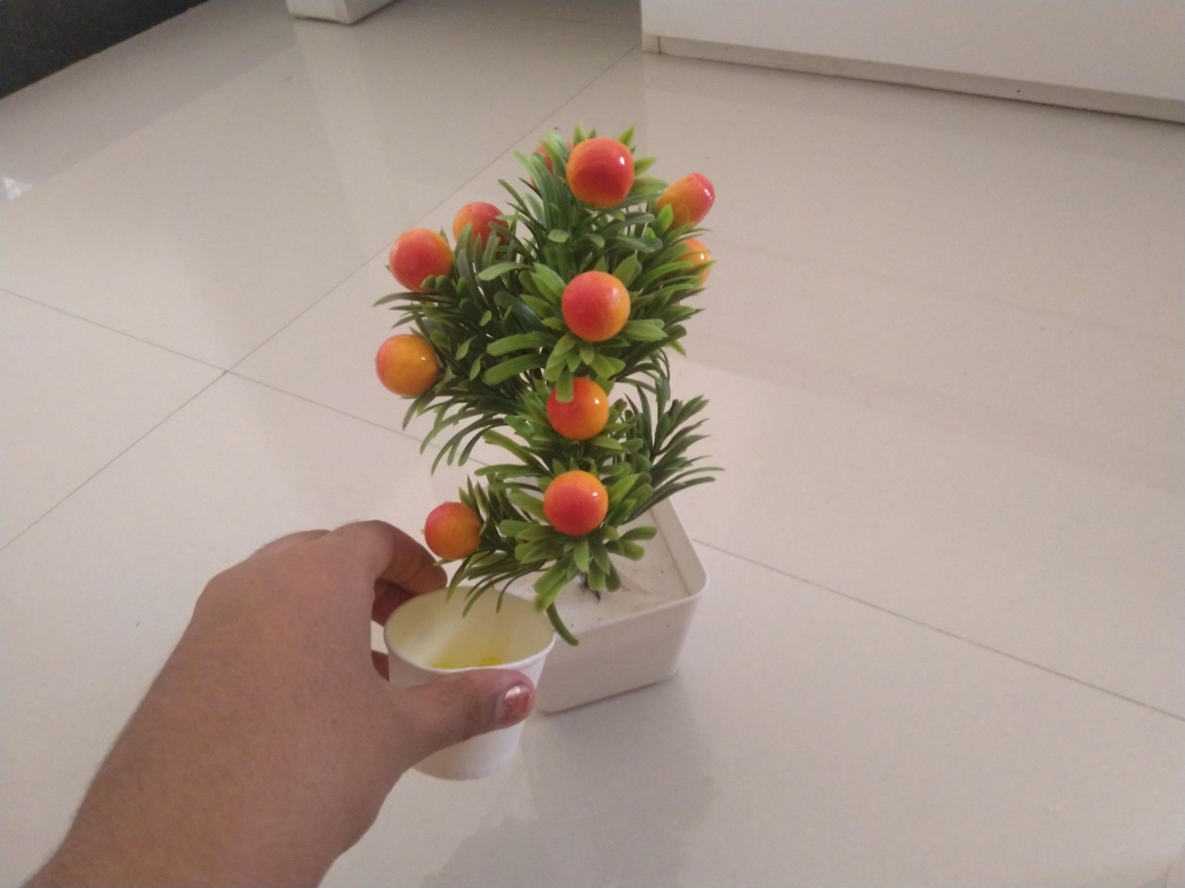 Orbeez Plant Instructables