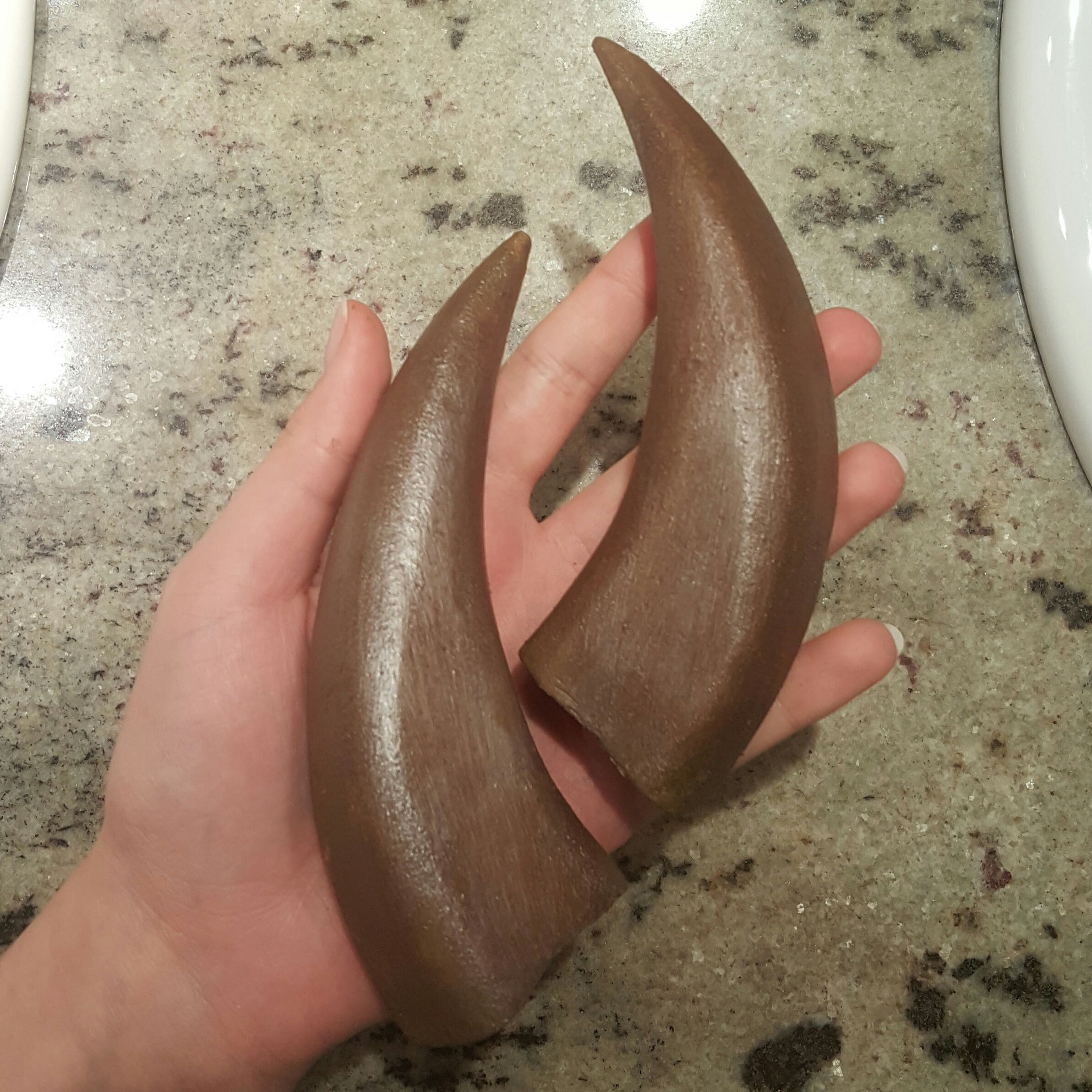 Horns