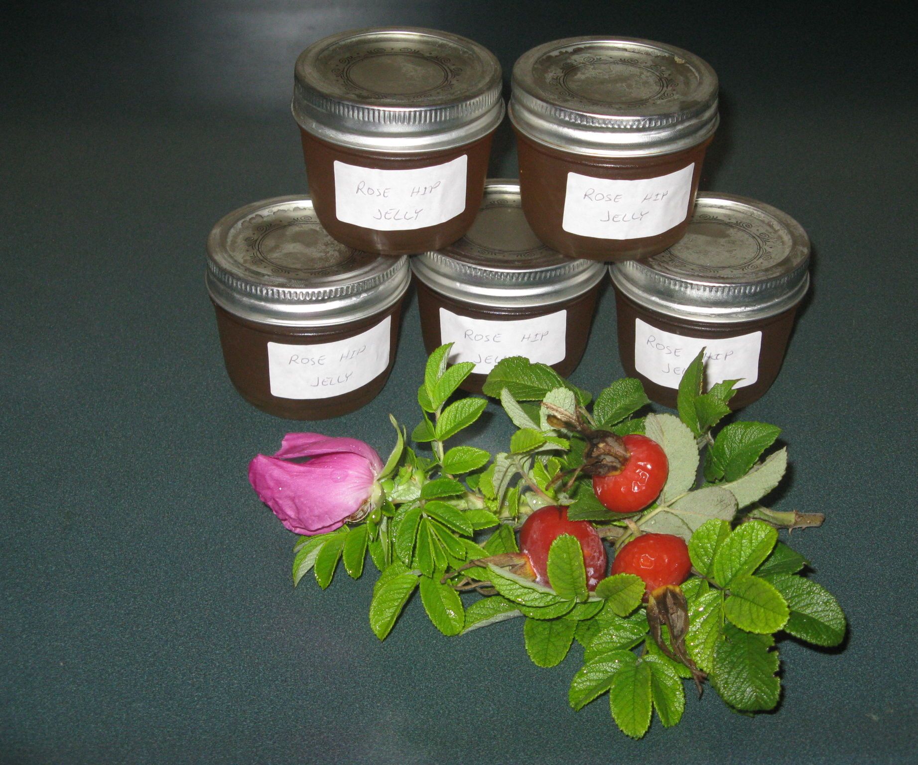 Sugar Free Rose Hip Jelly