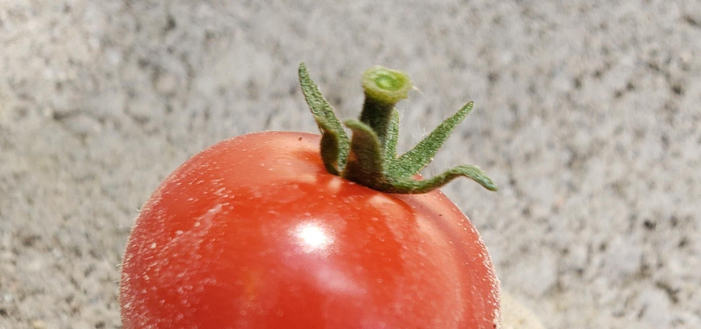 Using Homemade Cement to Make a Stand