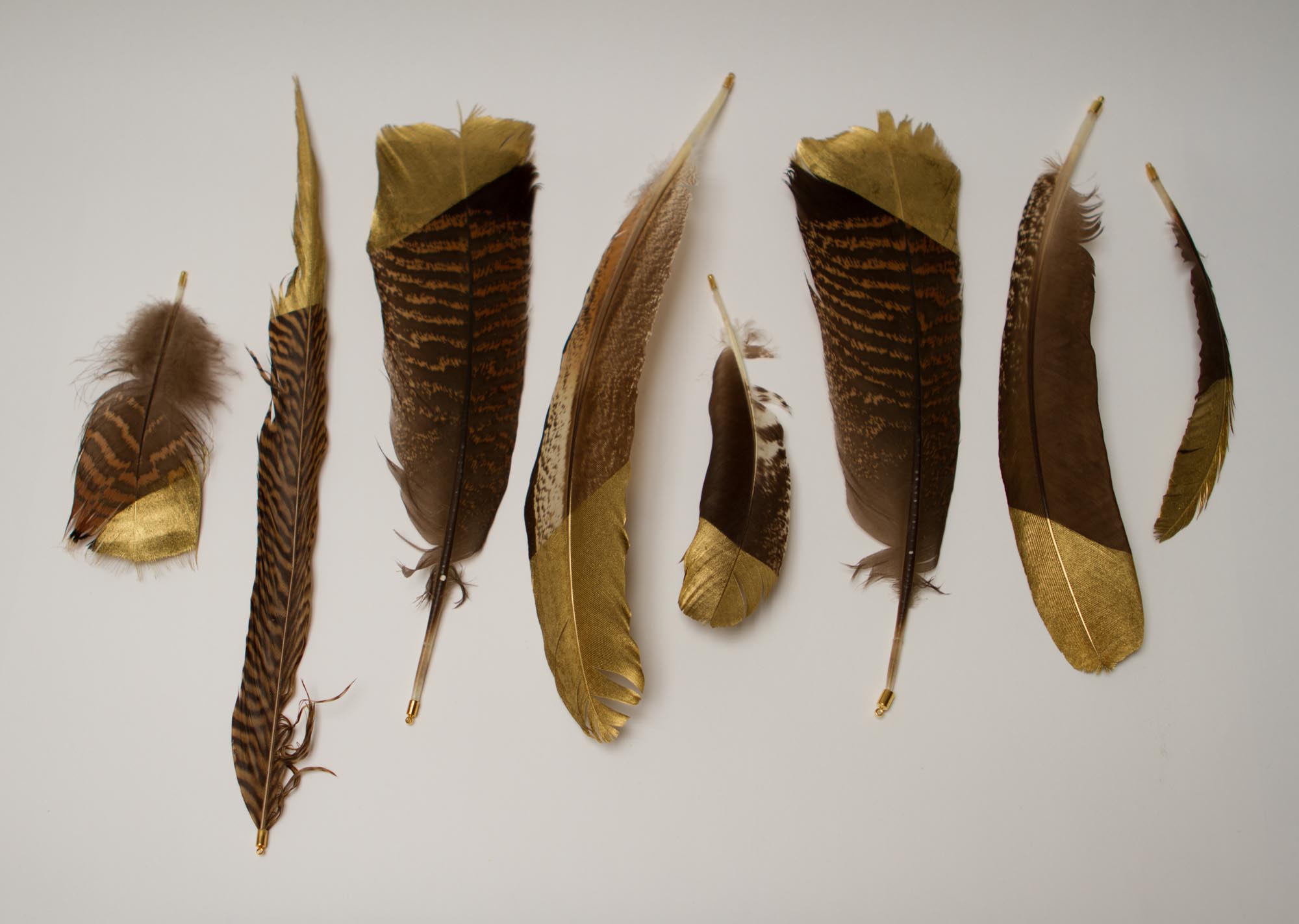 Gold Dipped Feathers