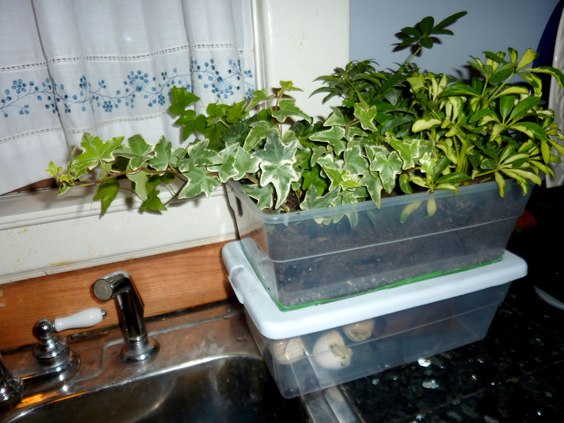 Nice Smelling Hybrid Indoor Compost Bin and Planter 6 Steps (with