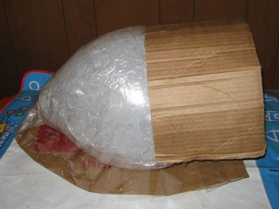 Build Up the Shape of the Shark Around the Balloon Using Cardboard