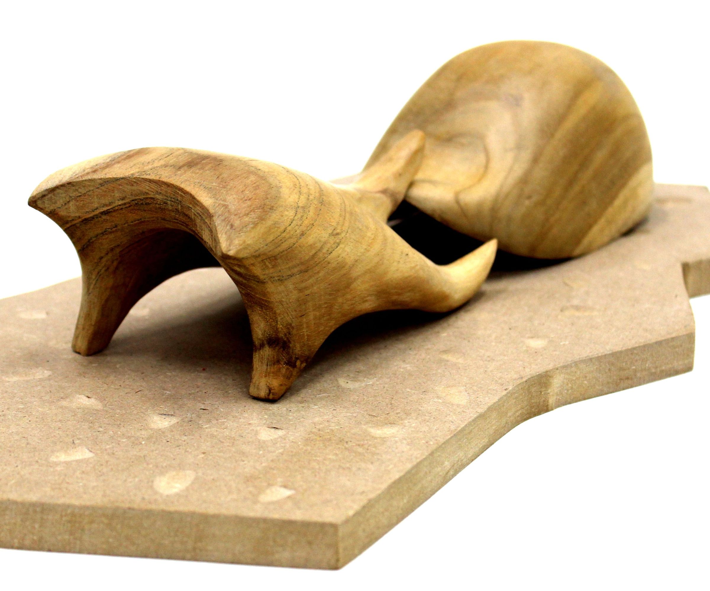 Elephant and Turtle on Battle Field