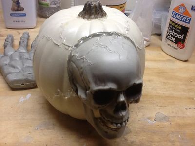 The Skull and Body