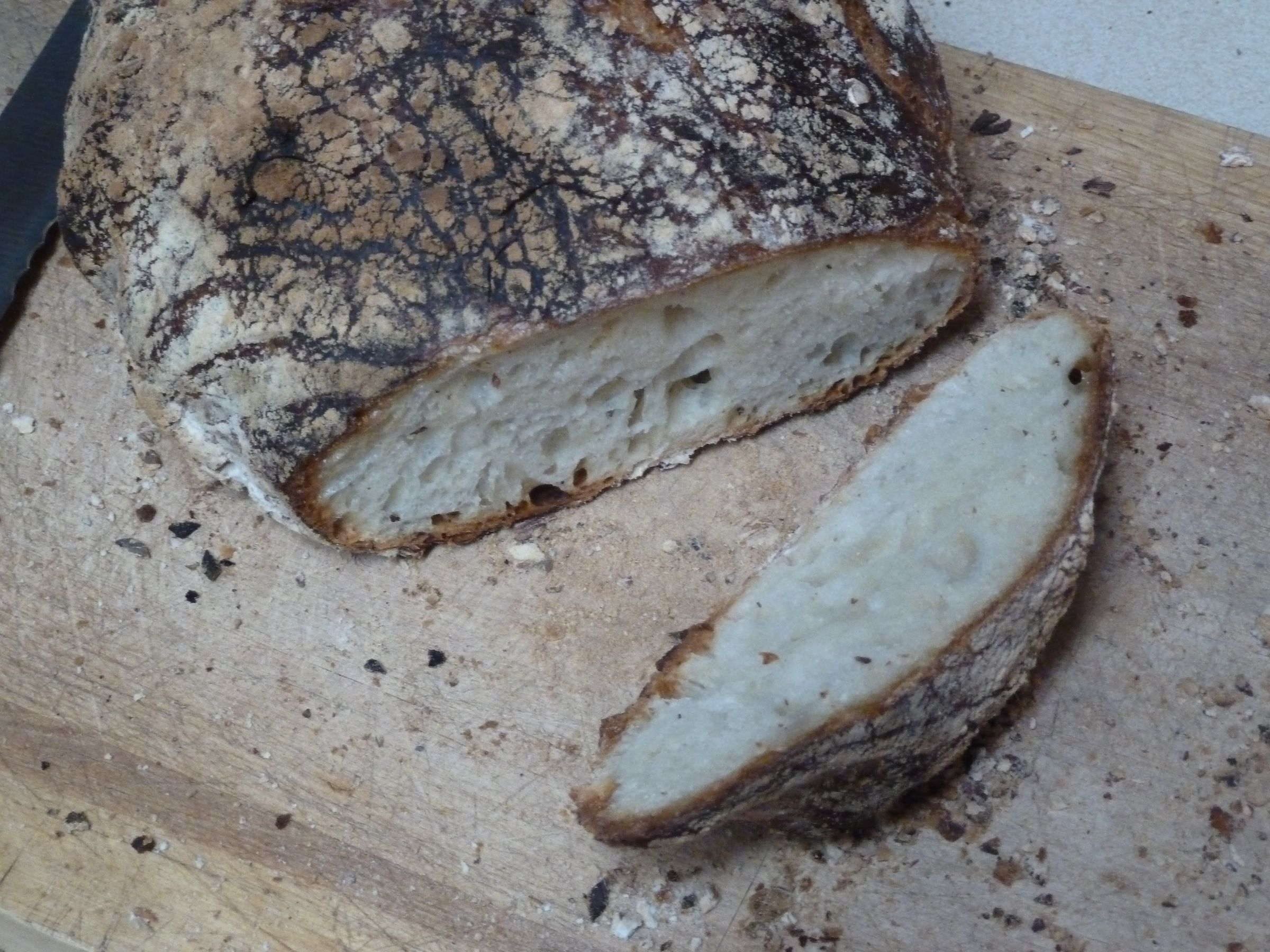 No Knead No Mess Bread