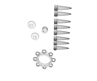 download {{ file.name }}