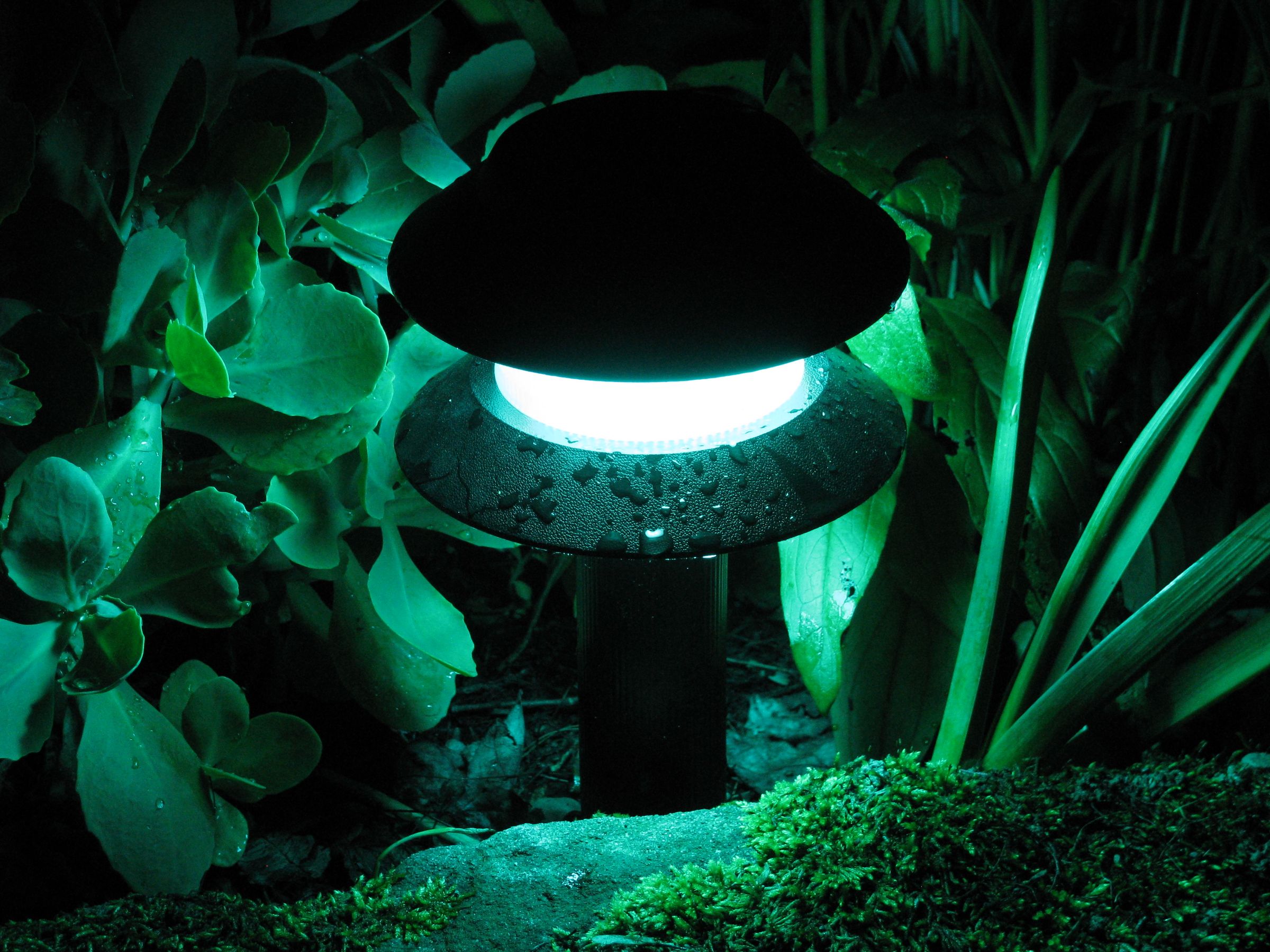 LED Garden Path Lights