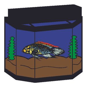 Domestic Animals - Fish