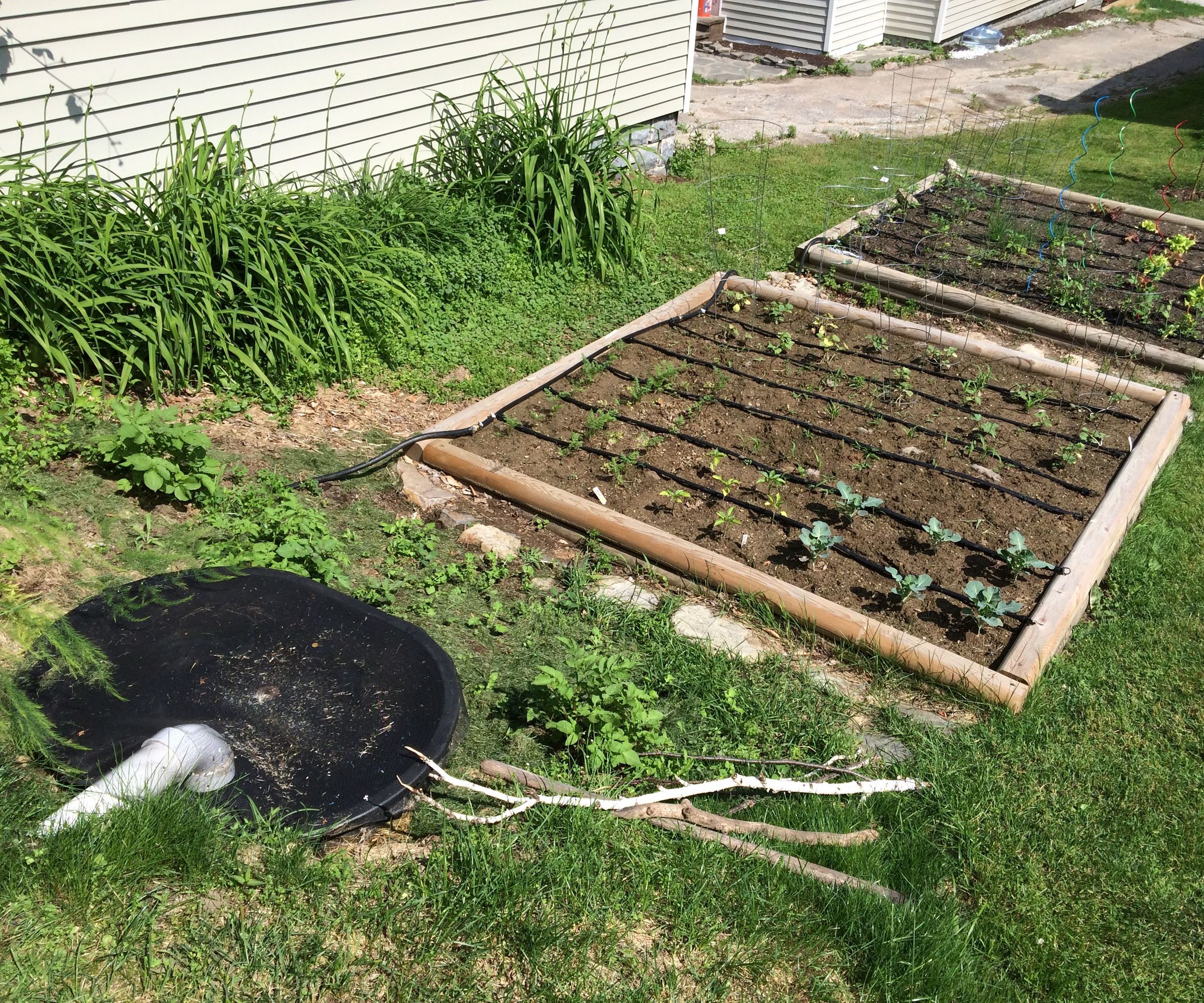 Improving a Big-box Drip Irrigation Kit