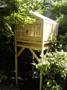 The Stilts-Styled Quail House