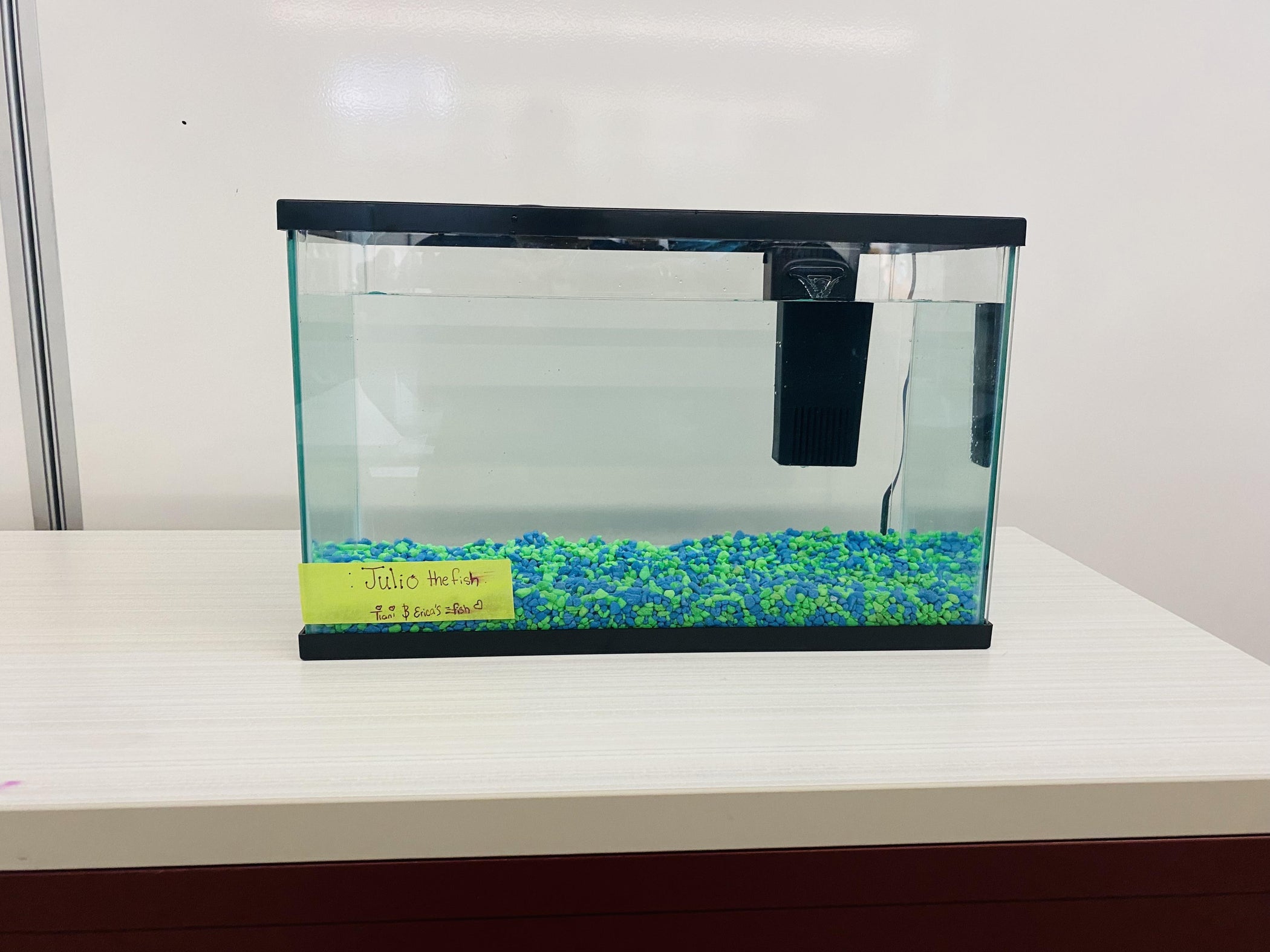 Training a Fish : 4 Steps - Instructables