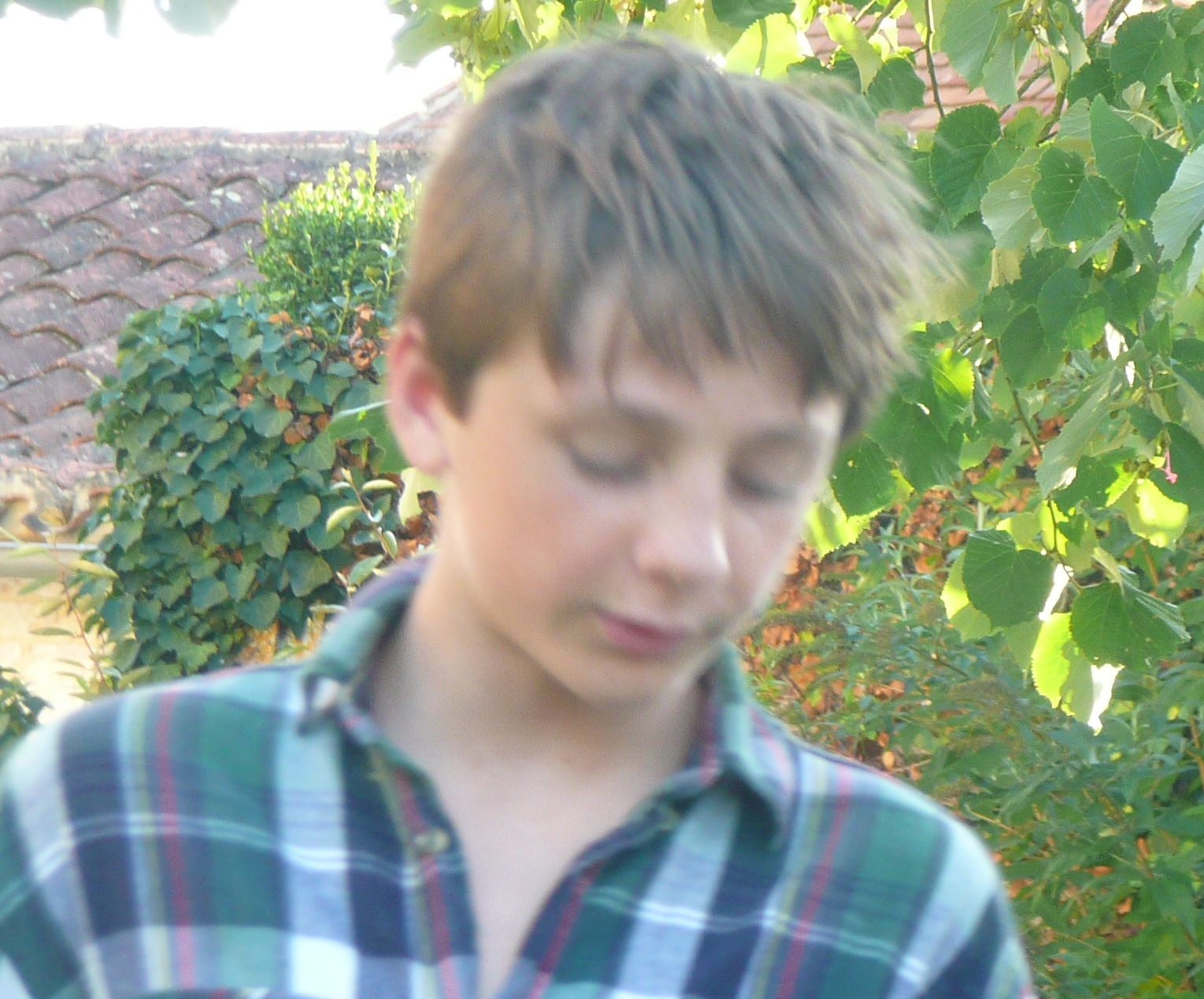 Alex Loftie