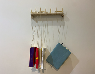 Simple and Elegant Hanging Bookshelf