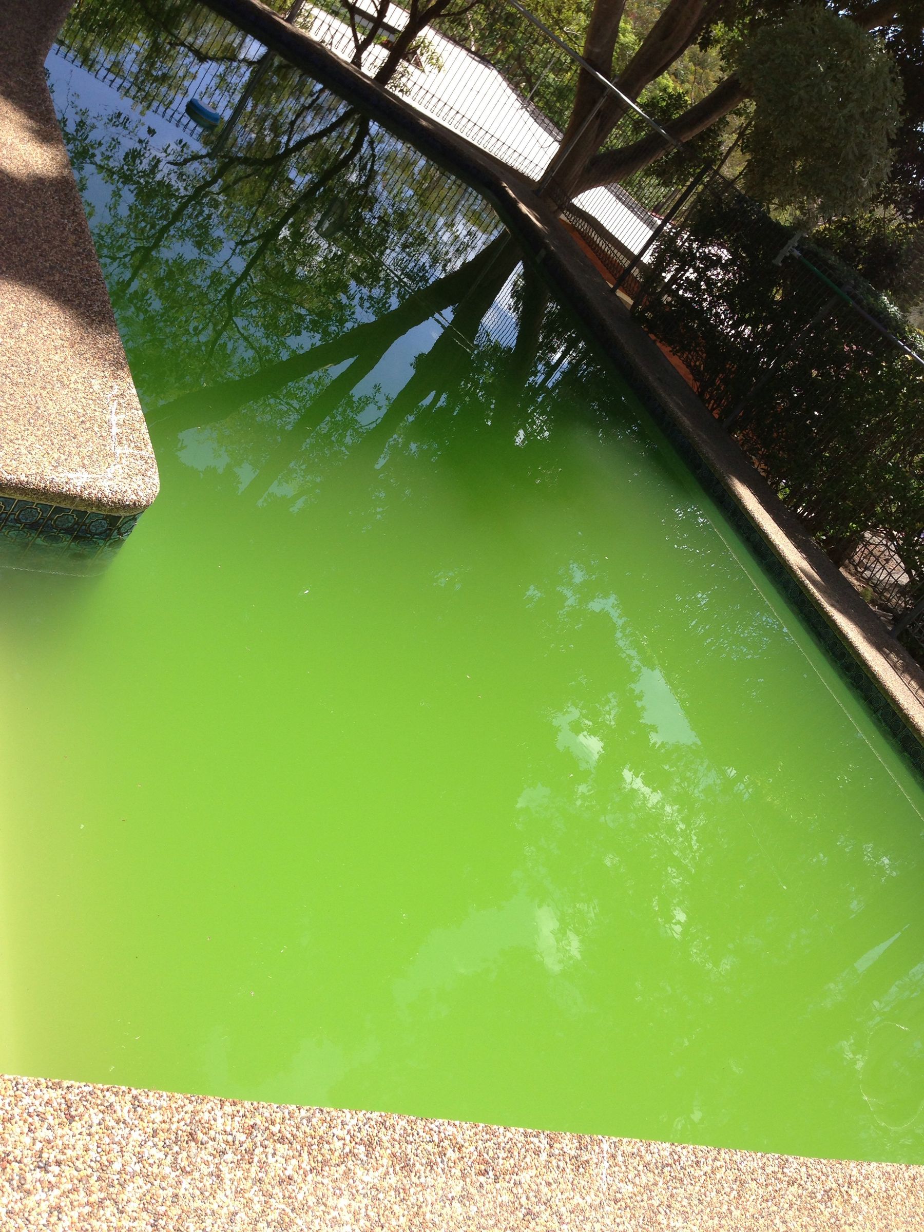 How to Turn a Green Pool to Blue