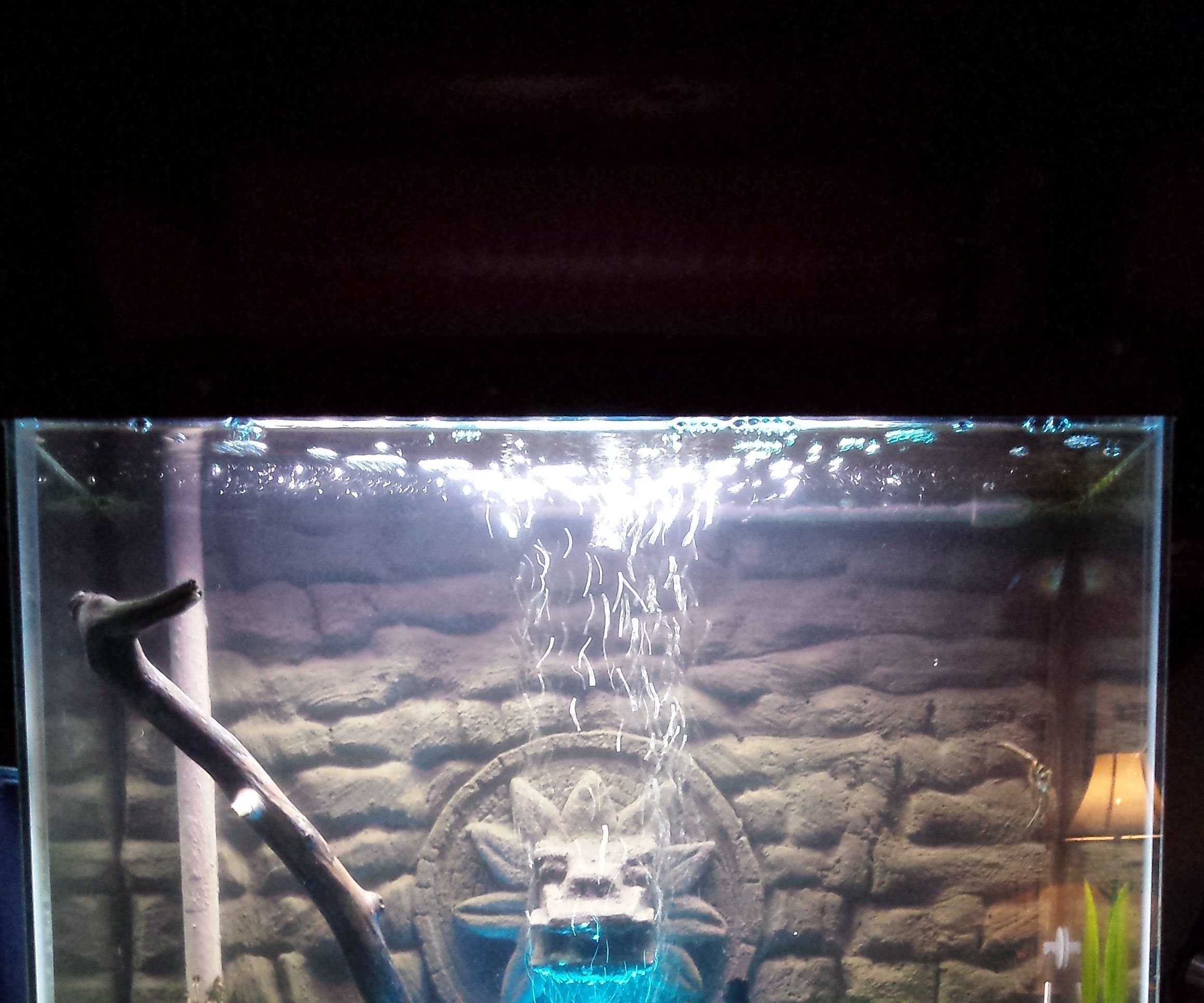 3D Aquarium Background - Quetzalcoatl