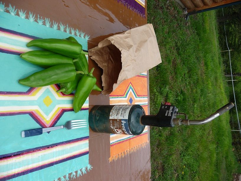 How to Roast Fresh Chiles- the EASY and Fast Way