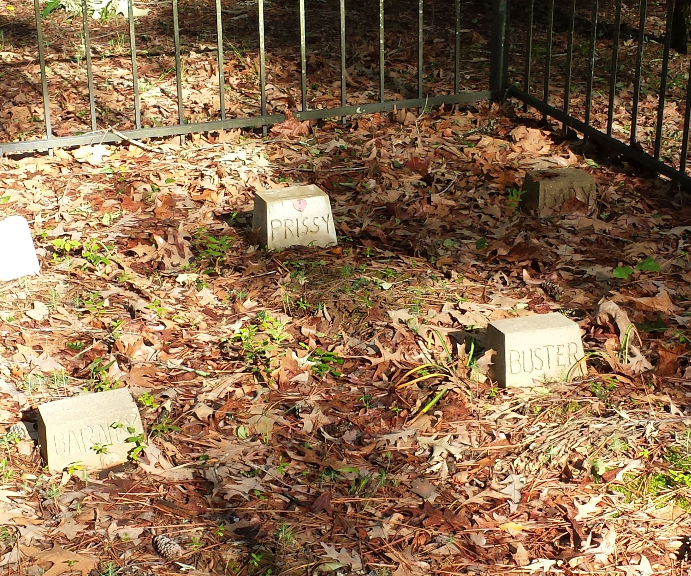 Pet Grave Marker & Mold to Make It