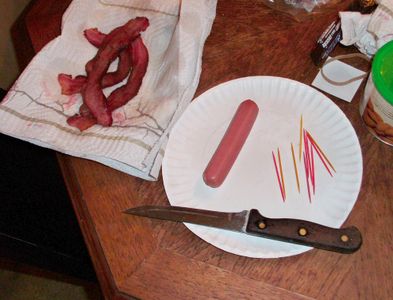 Bacon-bi-plane