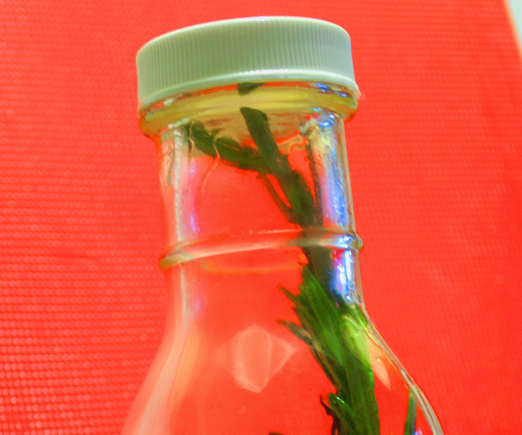 Slow Cooker Rosemary Garlic Infused Oil 