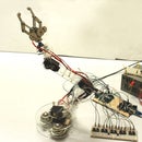 DIY Robotic Arm