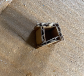 Creating the House Walls