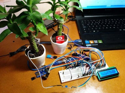 TMP36 Temperature Sensor and LCD Display Using Arduino (Tinkercad) : 7 ...